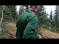 Grizzly encounter in Glacier backcountry