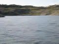 Seaflyer Ålfjorden