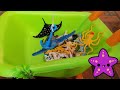 NAMES OF DINOSAURS AND ANIMALS FOR KIDS