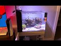 Waterbox 25 Peninsula Aquarium Episode 2