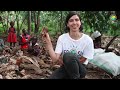 Traveling to Uganda | Tree Update 34