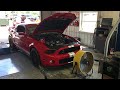 Gt500 vmp 2.3 dyno pull Shelby Mustang