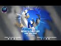 Result & Chill Remix 🎧 Sonic Lofi Extended Sonic 06 Hotline Sehwani