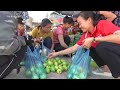Harvest Guava Fruit Garden Goes to market sell - Cooking & relaxing || || Phương - Free Bushcraft