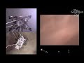 Footage of Perseverance rover landing on Mars released by Nasa