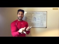 How to Burn STORED BODY FAT - Deep Information by Guru Mann