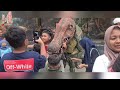 DINOSAURUS SHOW DI MOJOSEMI FOREST PARK-MAGETAN  || PERTUNJUKAN DINOSAURUS BERTENGKAR‼️