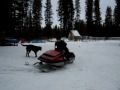 Aaron's  old Snowmobile 3