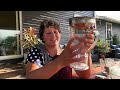 Learn to Ferment with me! #meanttoferment