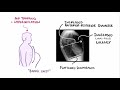 Emphysema (chronic obstructive pulmonary disease) - centriacinar, panacinar, paraseptal