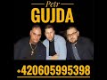 PETR GUJDA CELY ALBUM 2019  MIX PISNI