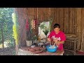 Ly Thap Ca | Harvesting potatoes from a jackfruit tree by a single mother