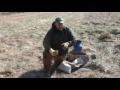 coyote trapping grass flat set