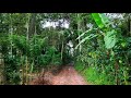 The Road’s End - Coorg - Karnataka, India