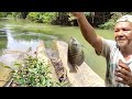 BERBURU IKAN DI RAWA DAN SUNGAI BESAR.