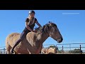 Larry, the mustang: Free Acceptance of the Rider (Episode 2) When Horses Choose in the USA