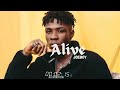 ALIVE Fireboy Type Beat X Joeboy  X  Ayra starr Type Beat Afro Beat 2024