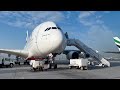 FlyDubai 737 MAX 🇦🇪 Dubai to Kathmandu🇳🇵 [FULL FLIGHT REPORT]