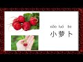 常见蔬菜的汉语名称 | Learn 30+ common vegetables in Chinese | Chinese immersion course