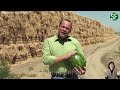 How Chinese Farmers Produce 60.1 Million Tons of Watermelon Every Year | Farming Documentary