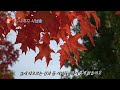 고운사랑-詩木馬/잎새예지낭송