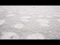 CARRIZO Plain National Monument