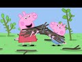 Finding Outdoor Treasure 🌳 Best of Peppa Pig 🐷 Cartoons for Children