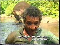 GLOBO REPORTER - EM BUSCA DOS PEIXES GIGANTES -1999