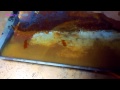 VINEGAR Cleans Heavily Rusted Metal FAST