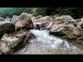 Mountain River Stream Tropical Forest Relaxation Sounds For Sleep For Meditation and Stress Reliever