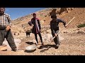 Nomadic Life: Making Traditional Syrup and Rebuilding a Nomadic House in the Mountains 🌾🍯🏔️