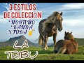 BANDA CRISTIANA | GRUPO LA TRIBU (ÉXITOS DEL RECUERDO)