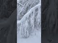 Minnesota winter wonderland December 2022
