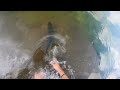 SIGHT FISHING GIANT BASS in CLEAR CITY POND!