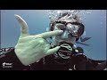 Puerto Morelos Diving, November  2023   Made with Clipchamp