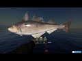 Trophy Compilation #3 - Russian Fishing 4