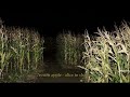 pov: that scarecrow isn't the only thing in the cornfields. | midwestern gothic inspired playlist
