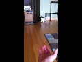 Playing fetch with my cat