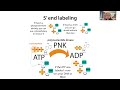 Molecular cloning overview - techniques & workflow