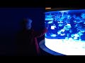 Aquarium meditation
