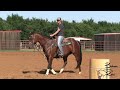 Rate Drill for Free Running and Bracey Barrel Horses