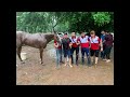 PIRULA vs Anastacia Lake vs Galega Cartel - Hipodromo Santo Tomas - Paraguari - 16/06/2024