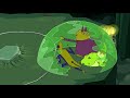 Wizards Only, Fools | Adventure Time | Cartoon Network