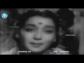 Chiranjeevulu Movie Songs - Tellavara Vache Song || N.T. R, Jamuna, Gummadi