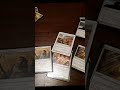 How to play MTG (white color)