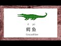 汉语学习 | Reptile names in Chinese | Chinese vocabulary