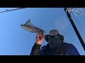 FRUSTRATING Squid Fishing:  Eging at POINT RILEY!