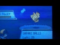 (WSHC #1) [Phase 9] 5th Shiny Misdreavus after 3,888 REs! W/F?