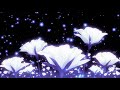 billie eilish - WILDFLOWER (slowed + reverb)