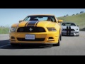 Shelby GT350 vs Boss 302 - The Best Mustang - TV Season 1 Ep. 5 | Everyday Driver